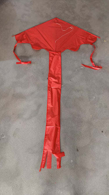 1.2m Easy Flyer Delta Kite